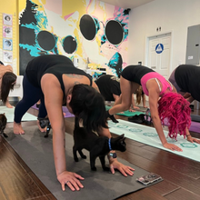 Punk Rawk Yoga