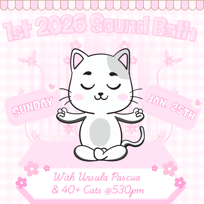 Jan 25th Sound Healing