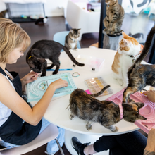 Feline Good Friendship Bracelets