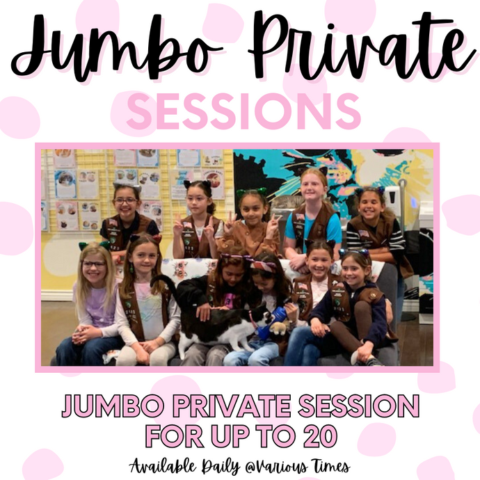Private Jumbo Session (20 Guests)
