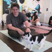 Cats & Mats Yoga