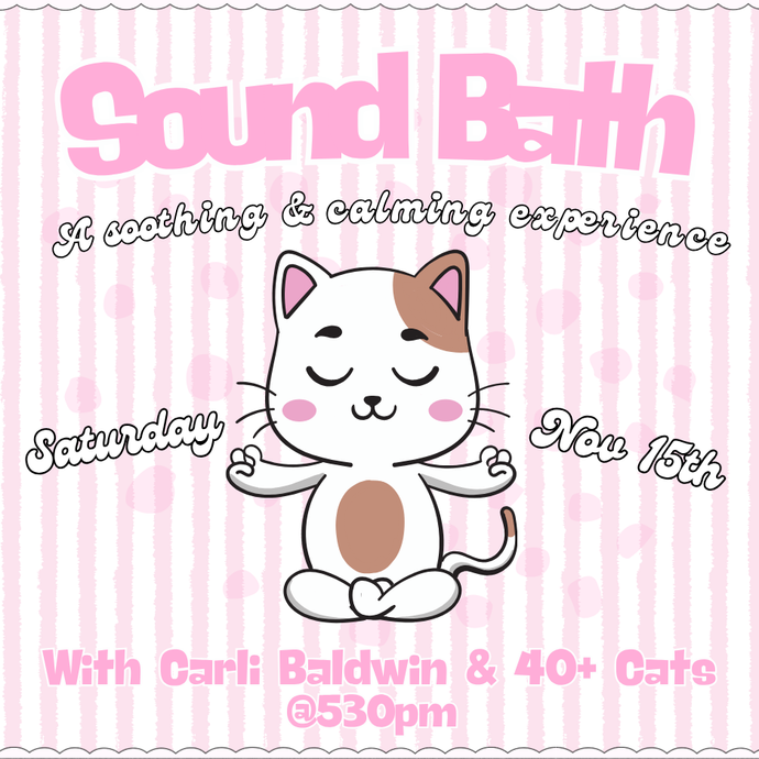 Nov 15 Sound Healing