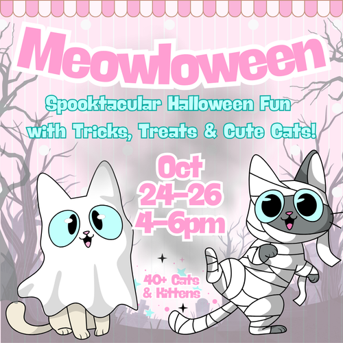 Meowloween Fun @ Feline Good Social Club