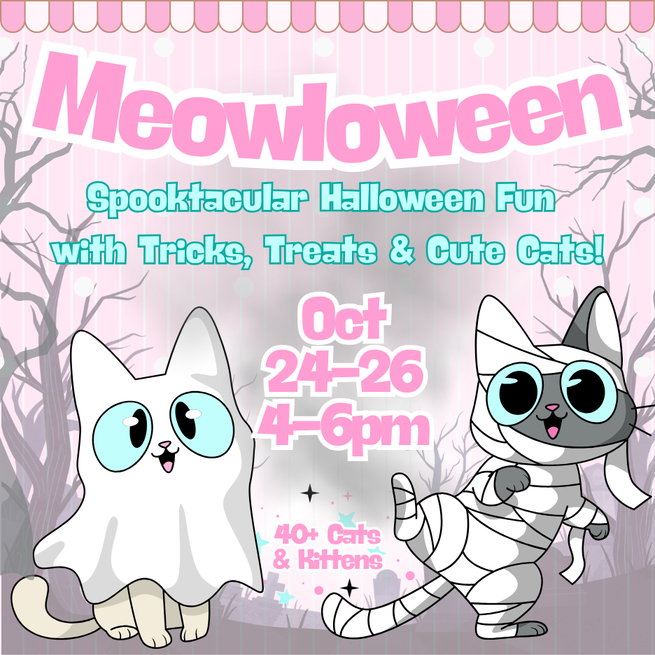 Meowloween Fun @ Feline Good Social Club