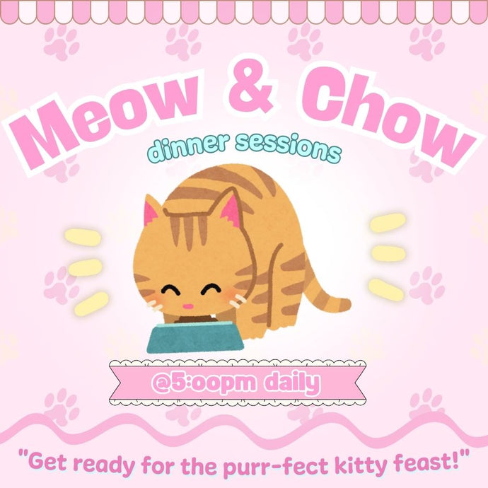 Meow & Chow Dinner Time Session