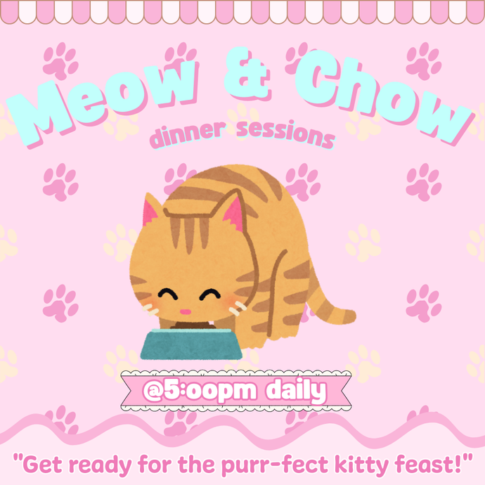 Meow & Chow Dinner Time Session