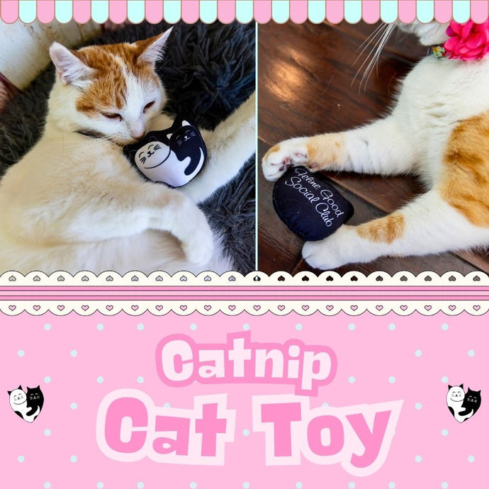 Catnip Cat Toy