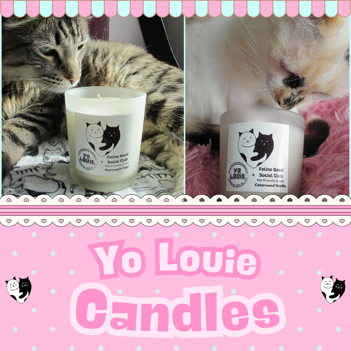 Yo Louie Candles