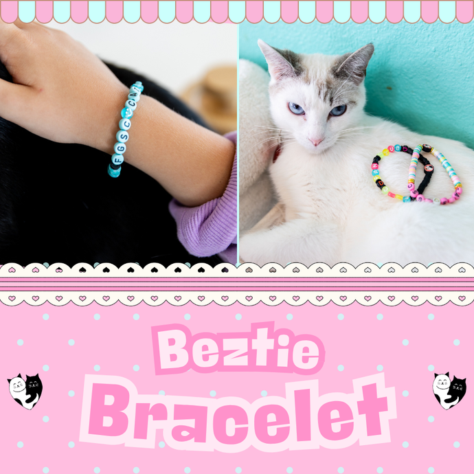 Beztie Bracelet