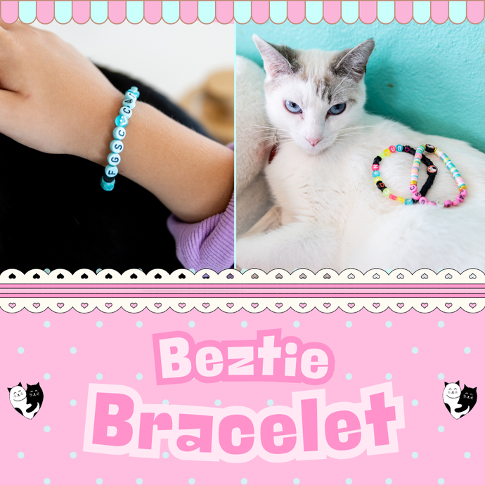 Feline Friendship Bracelets