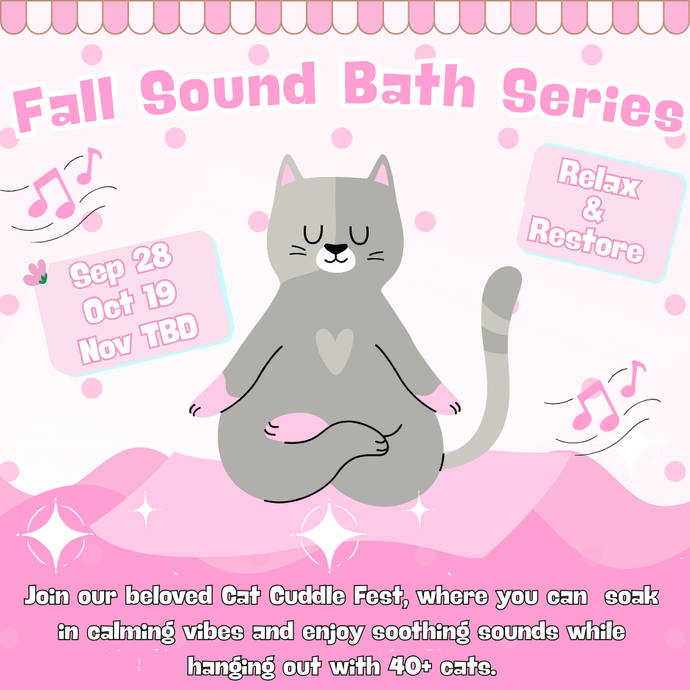 Fall Sound Healings