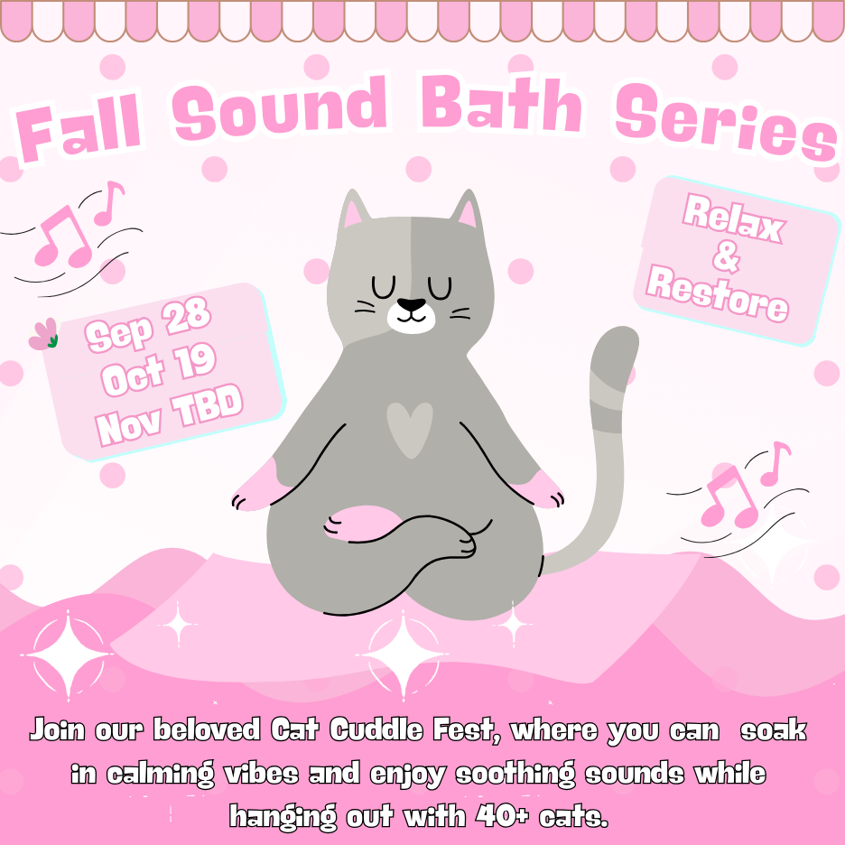 Fall Sound Healings