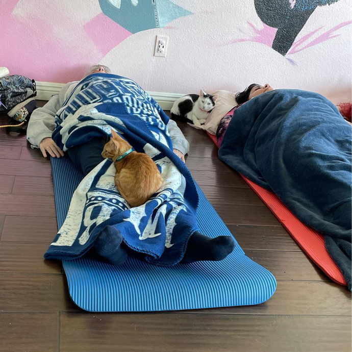 Cat Lounge Sound Healing Event